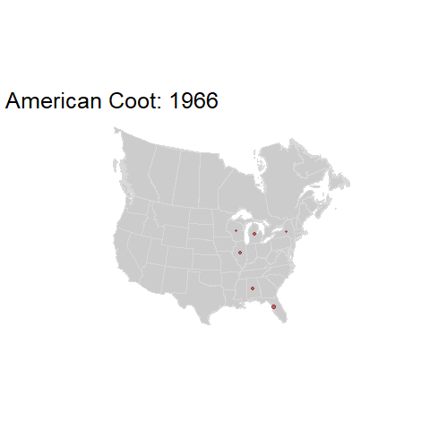 American Coot.BBSindex_states_1966-2015.gif