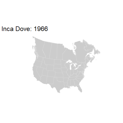Inca Dove.BBSindex_states_1966-2015.gif