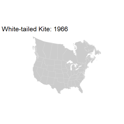 White-tailed Kite.BBSindex_states_1966-2015.gif