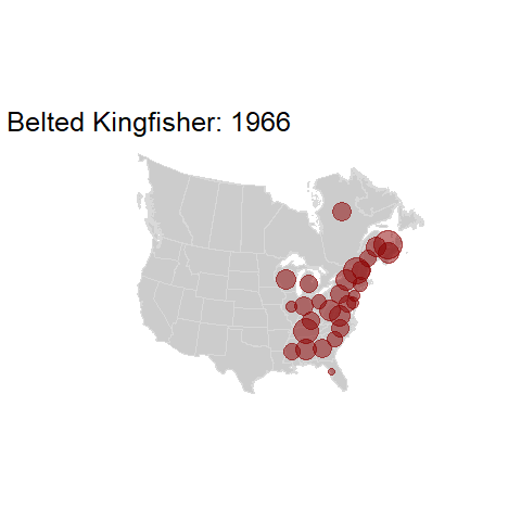 Belted Kingfisher.BBSindex_states_1966-2015.gif
