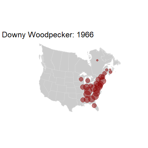 Downy Woodpecker.BBSindex_states_1966-2015.gif