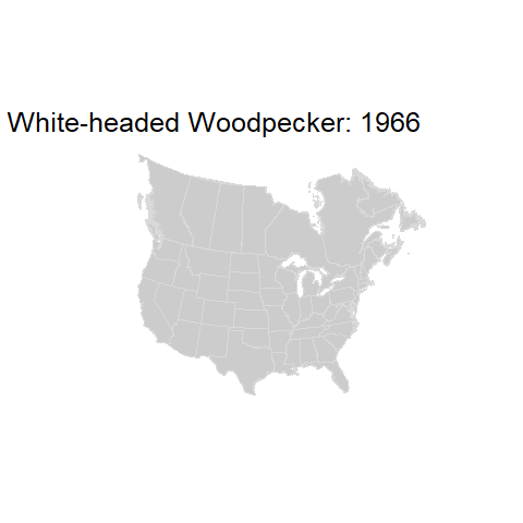 White-headed Woodpecker.BBSindex_states_1966-2015.gif