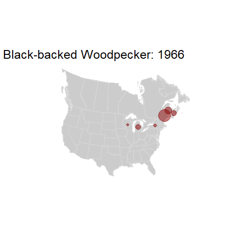 Black-backed Woodpecker.BBSindex_states_1966-2015.gif