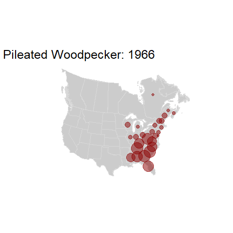 Pileated Woodpecker.BBSindex_states_1966-2015.gif