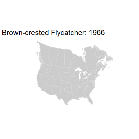 Brown-crested Flycatcher.BBSindex_states_1966-2015.gif