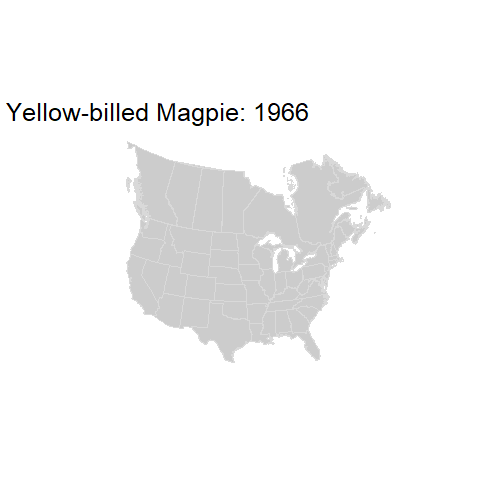 Yellow-billed Magpie.BBSindex_states_1966-2015.gif