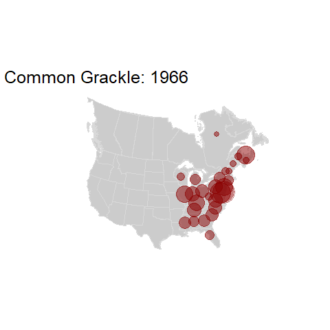 Common Grackle.BBSindex_states_1966-2015.gif