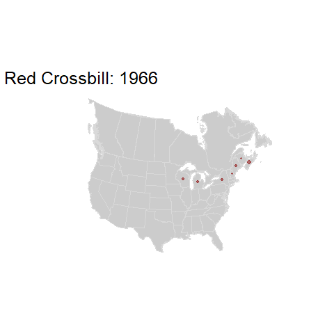 Red Crossbill.BBSindex_states_1966-2015.gif