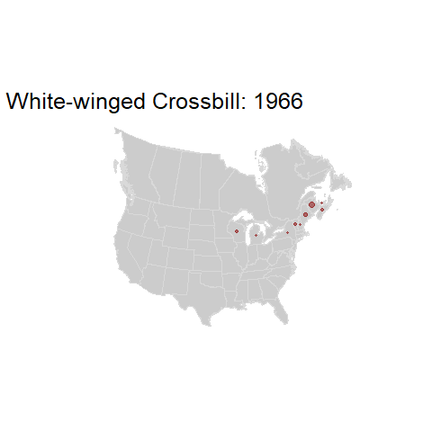 White-winged Crossbill.BBSindex_states_1966-2015.gif