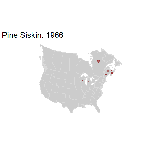 Pine Siskin.BBSindex_states_1966-2015.gif