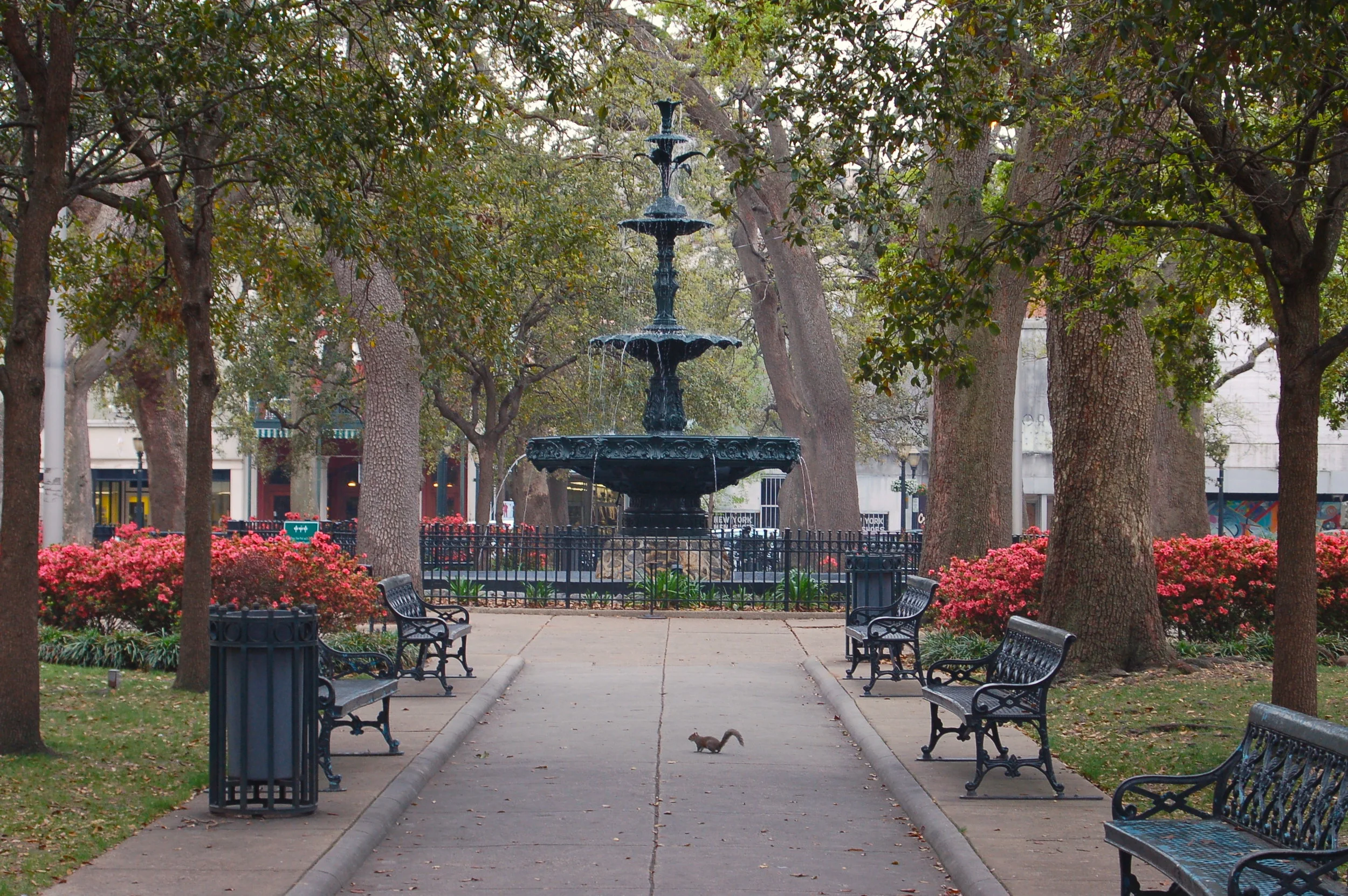 stock-bienville square.jpg