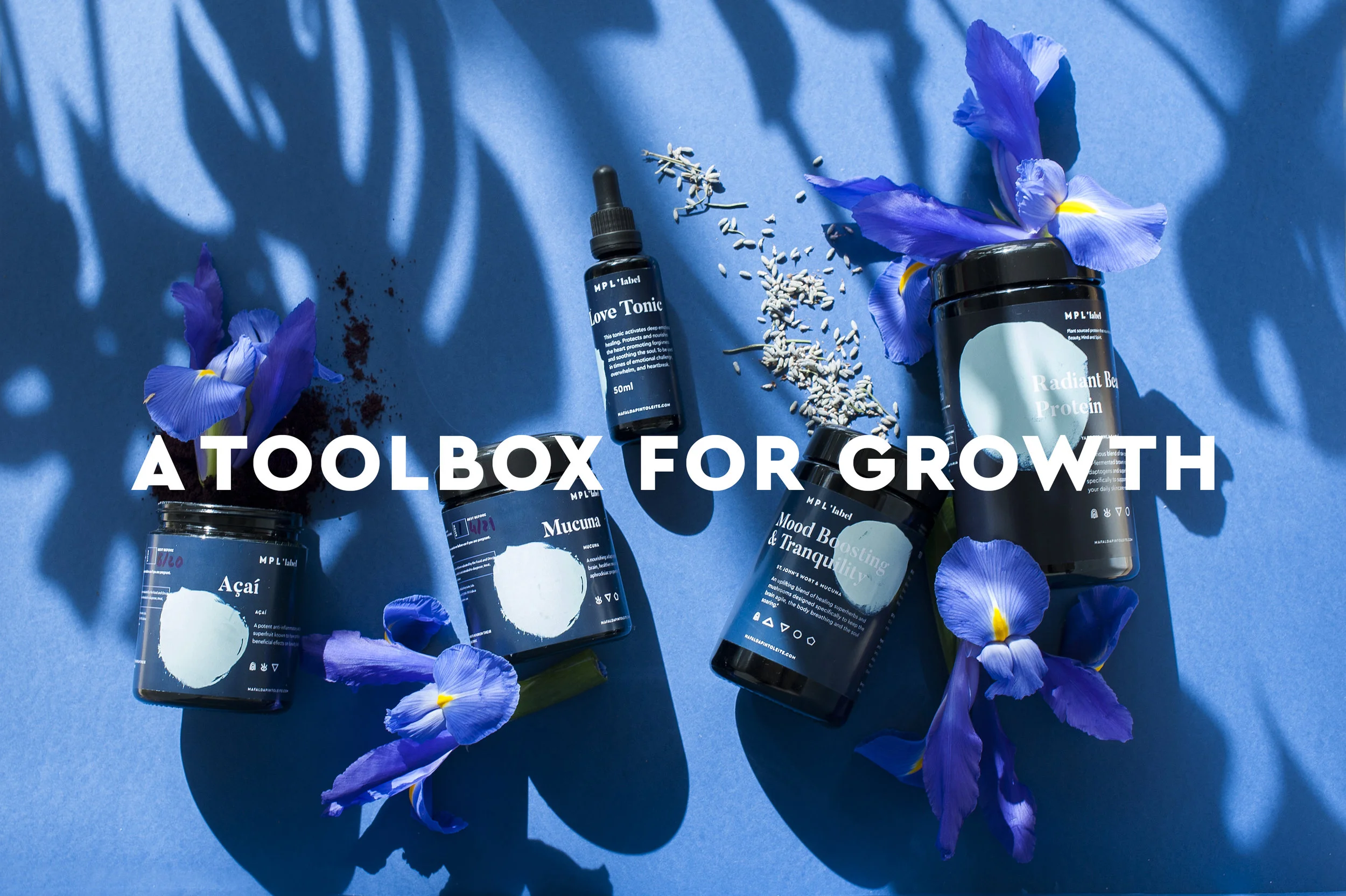 mpl-daily-toolbox.jpg