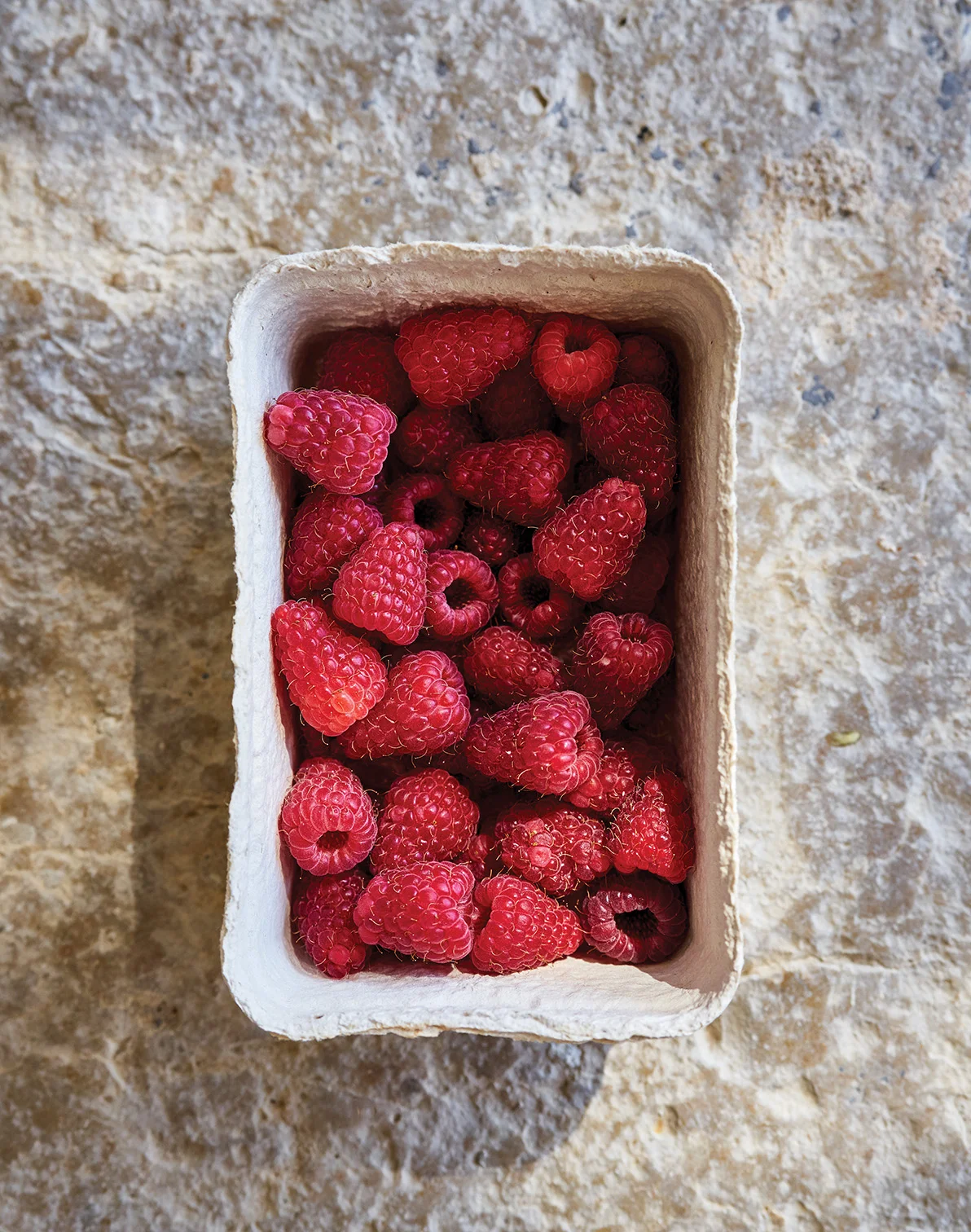 RASPBERRY 0001.jpg