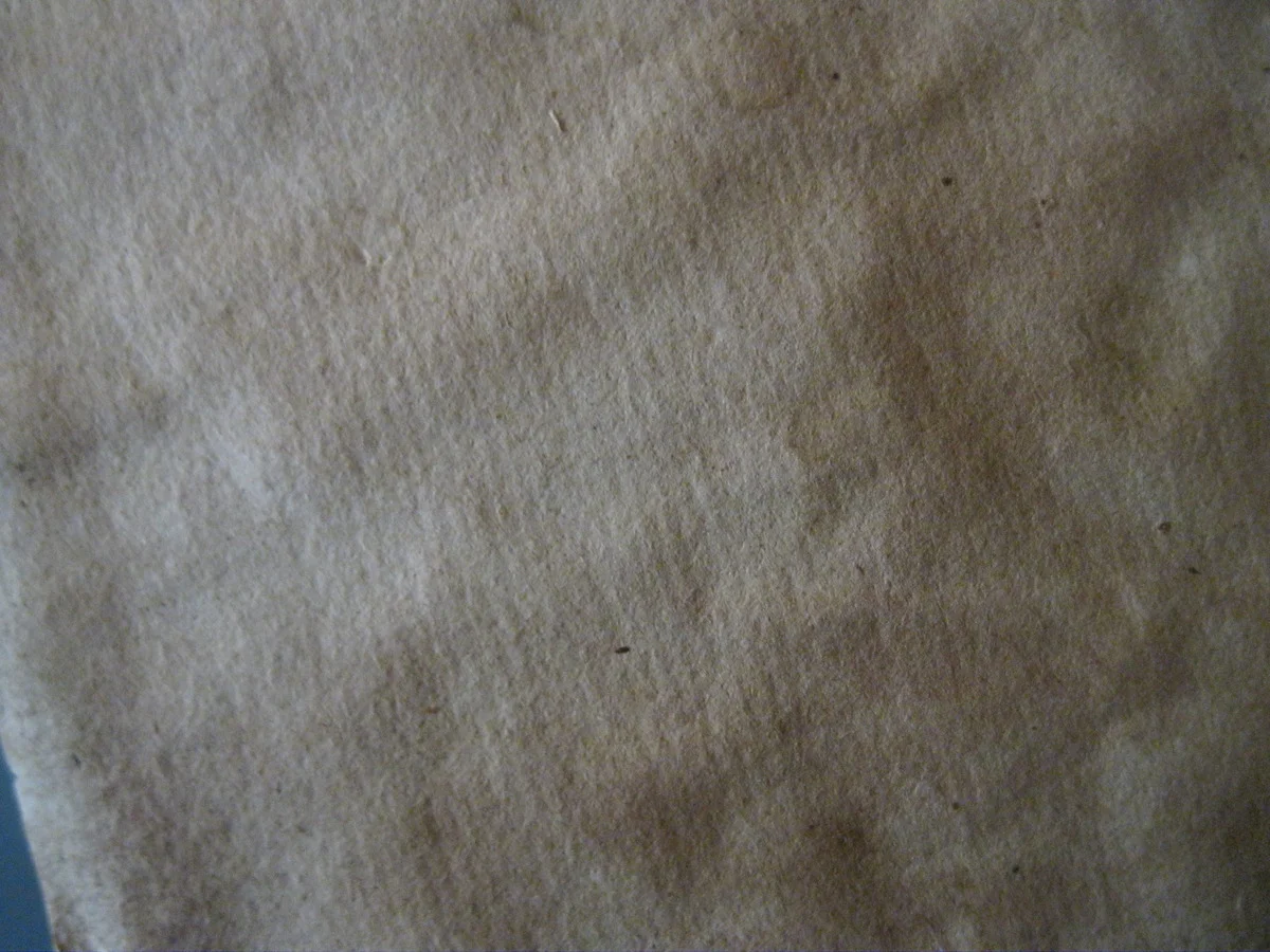 img_0172.jpg
