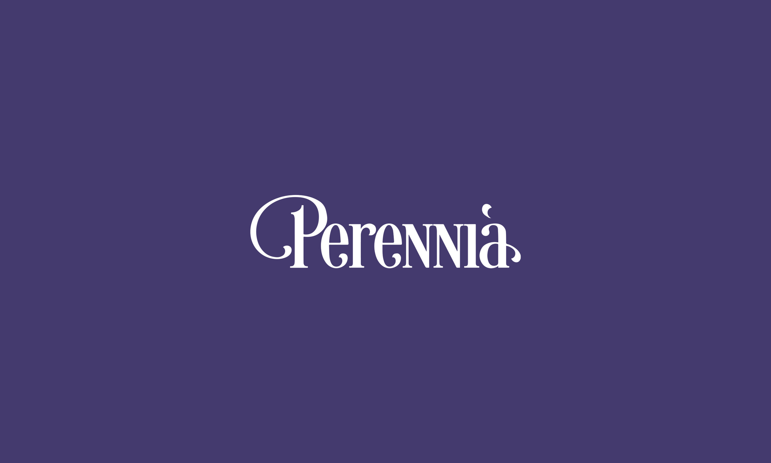 Naming / Brand Identity / Web