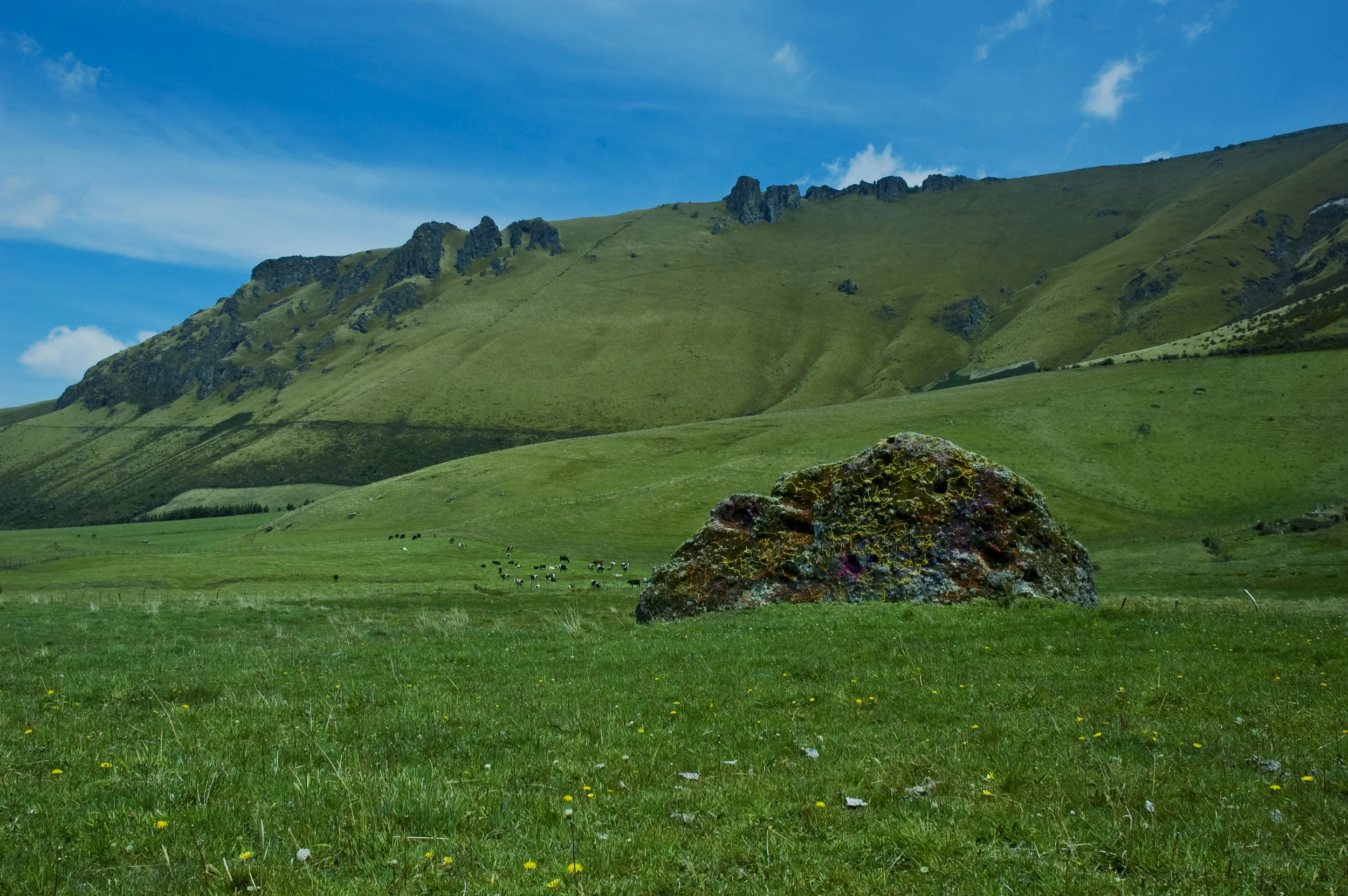 DSC_0090.jpg