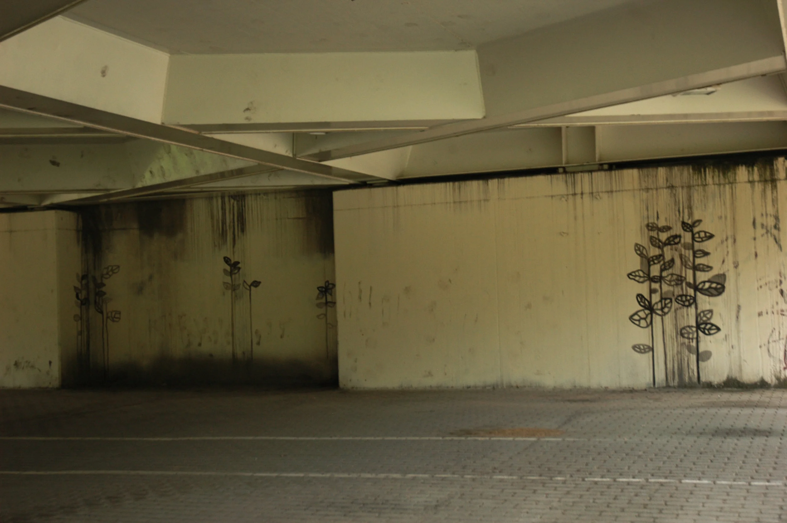 plantaspared.jpg