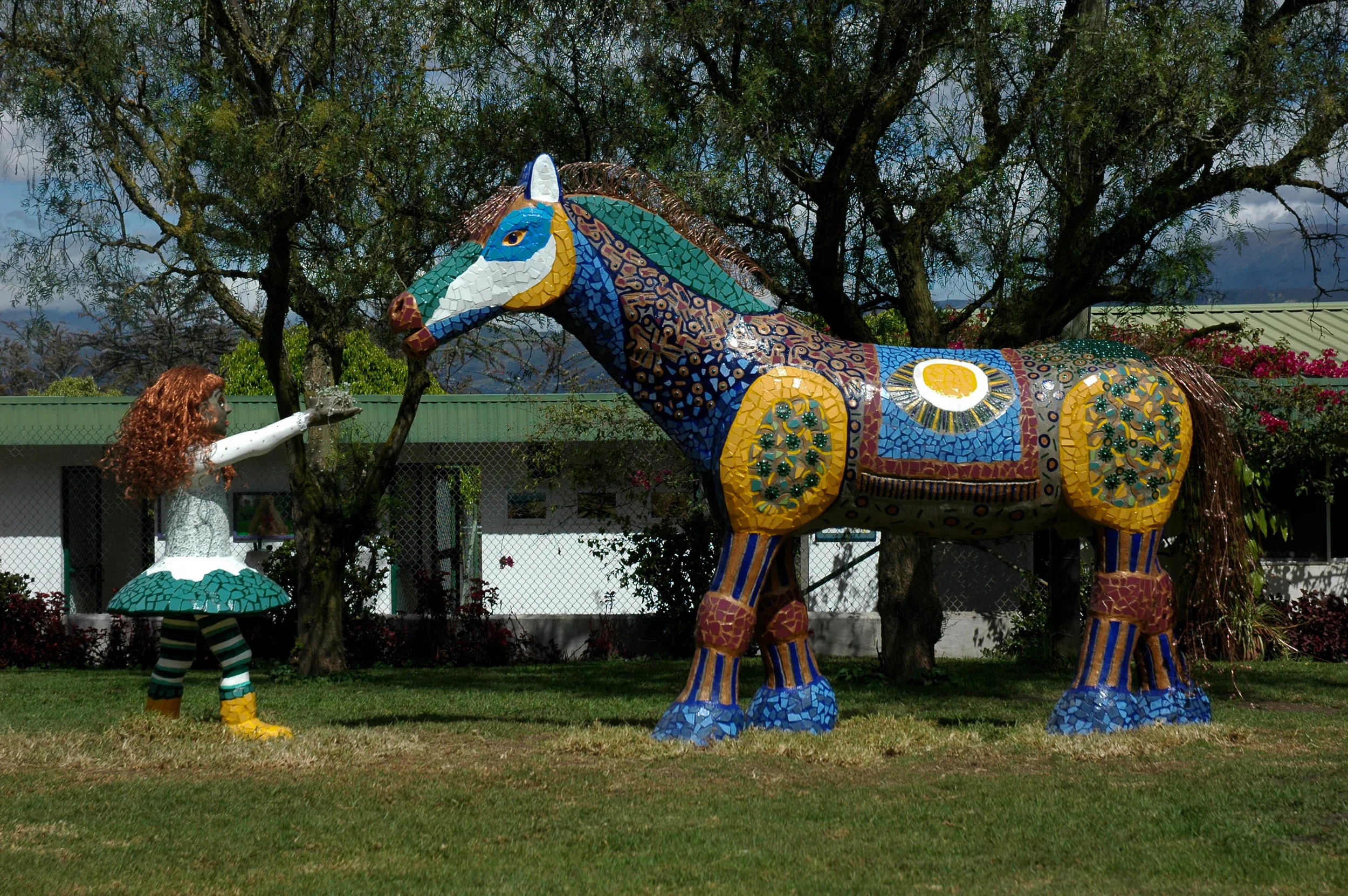 DSC_7672.jpg