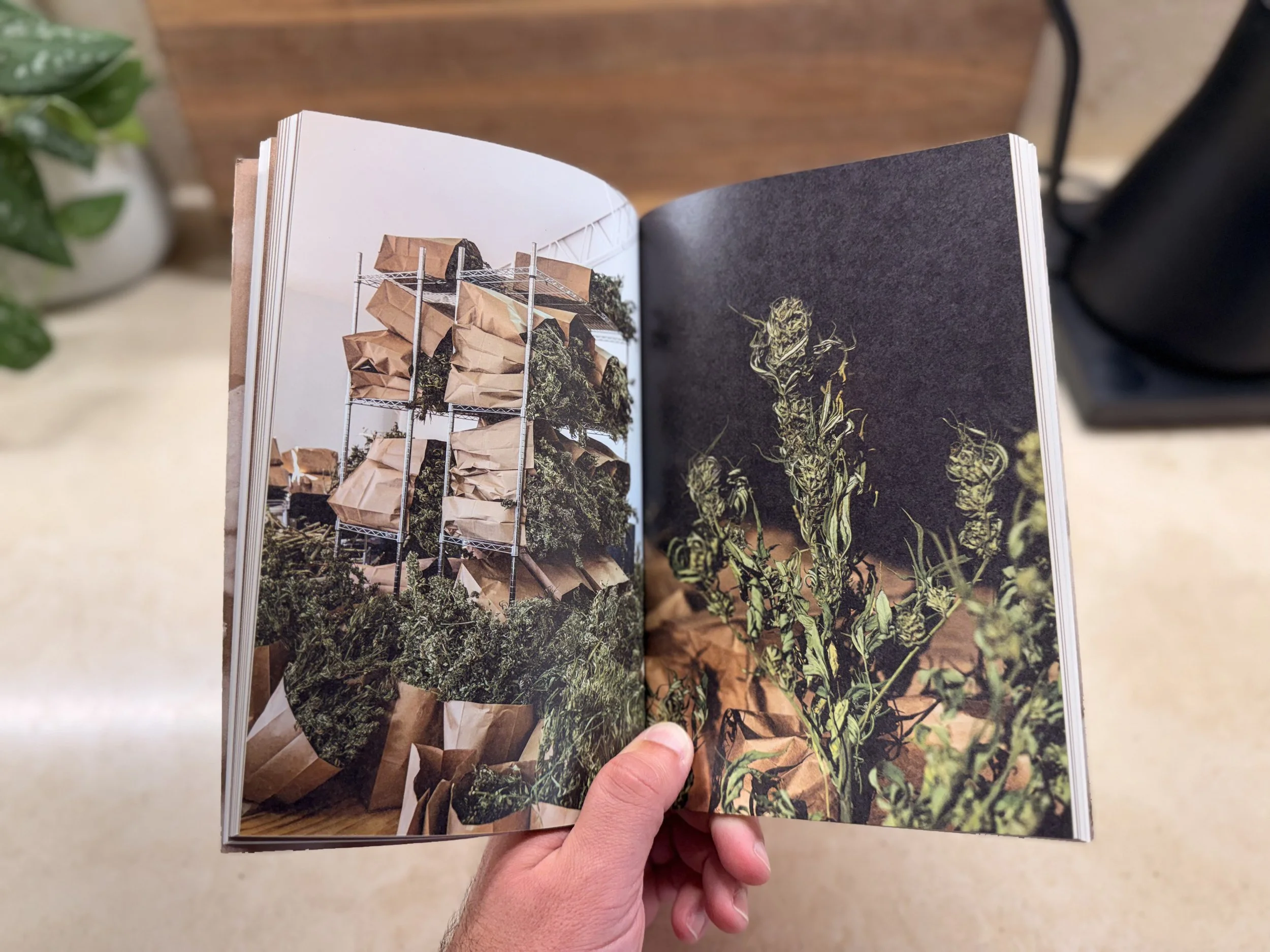 Open magazine showing a sculpture made of metal shelves filled with paper bags and plant material on the left page, and another plant on a dark background on the right page.