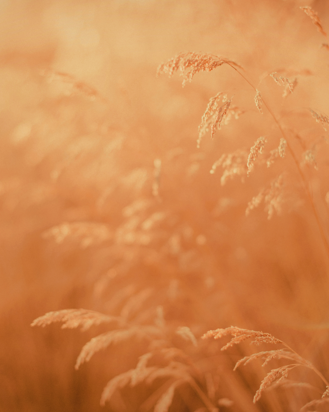 Intuitive reading add-on