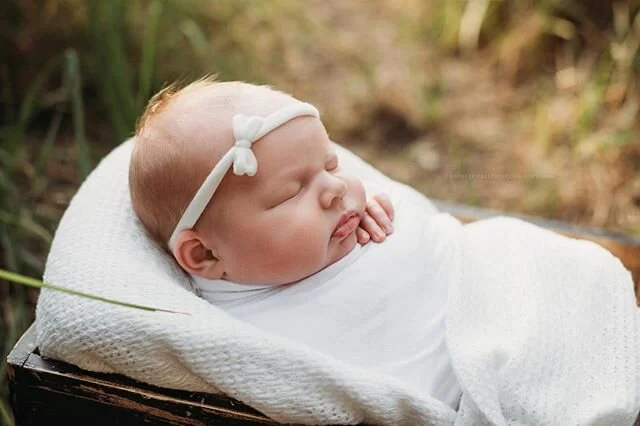 💯 % ok with doing outdoor newborns for forever. 😍😍
@liz_stokman 
#elkgrovenewbornphotographer #galtnewbornphotographer #lodinewbornphotographer #norcalphotographer #sacramentonewbornphotographer #smalpresets #soulmatepresets #babylove #babysmiles 