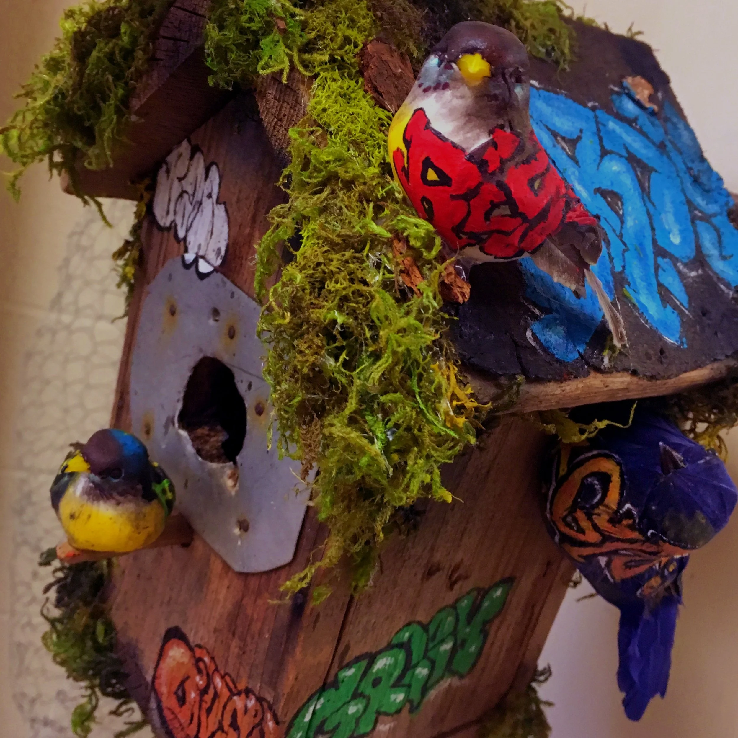  from  Taxidermy  Installation 