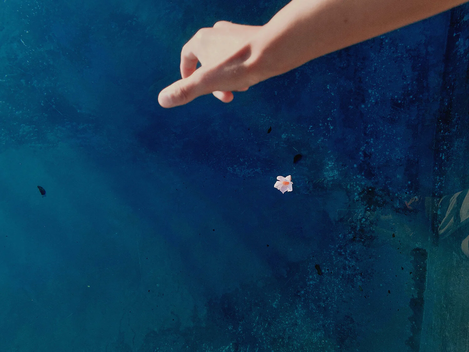 SĒFARI BATH IMMERSION  