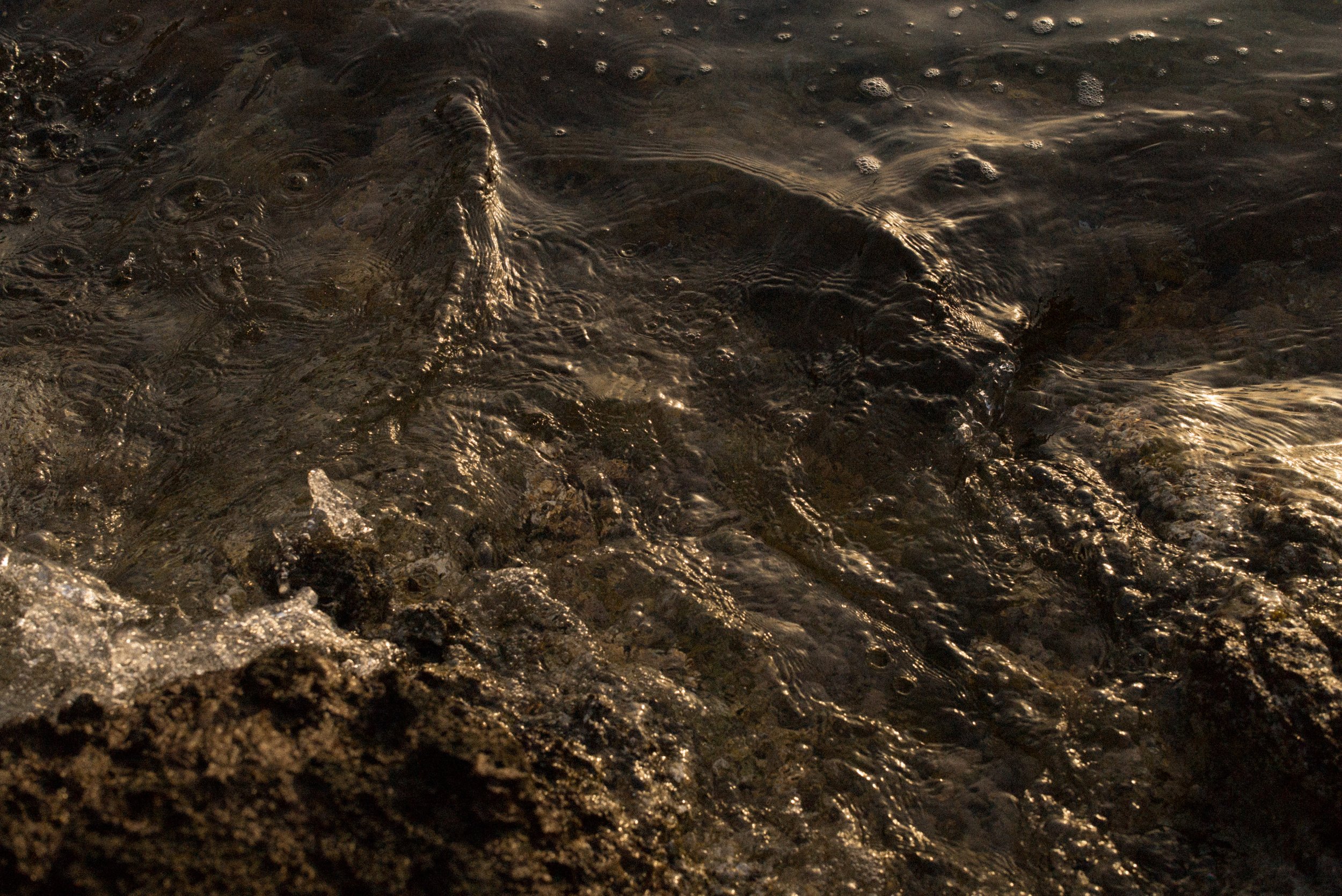 Hydra stones x water-06.jpg
