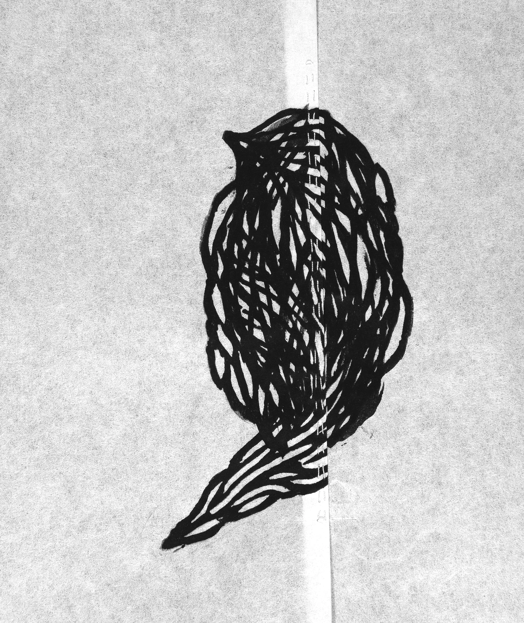 SEWN SPECIMEN VI
