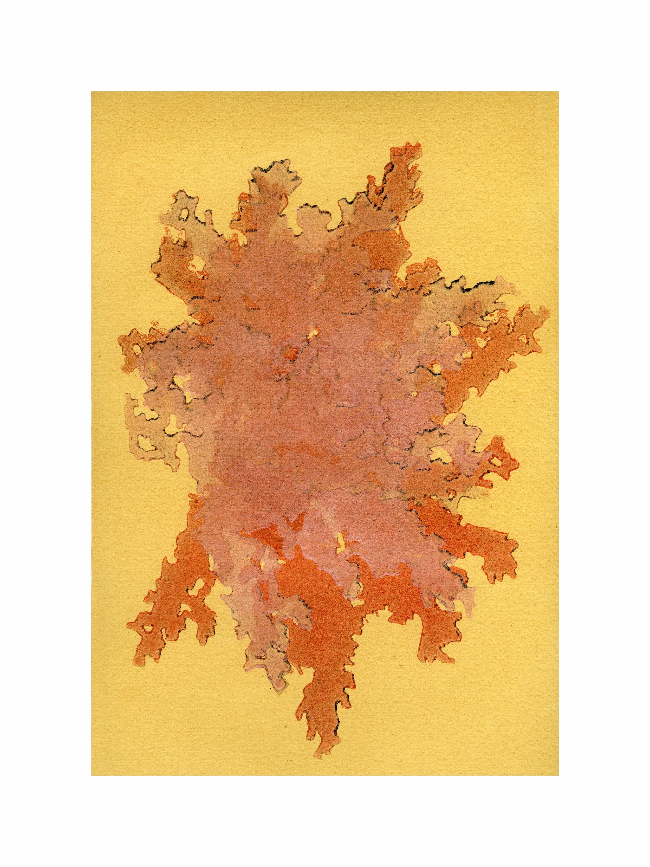 Algae XII
