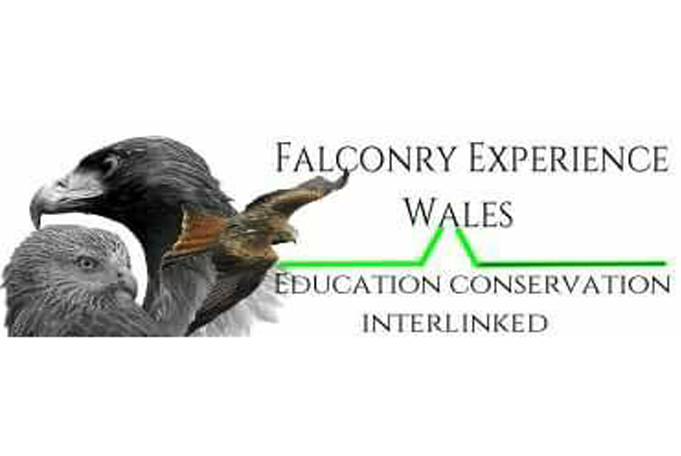 Falconry-experience-wales-.png