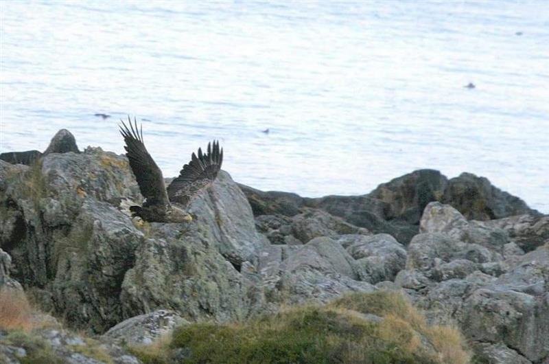 Norway trip ©Sophie-lee Williams.jpg