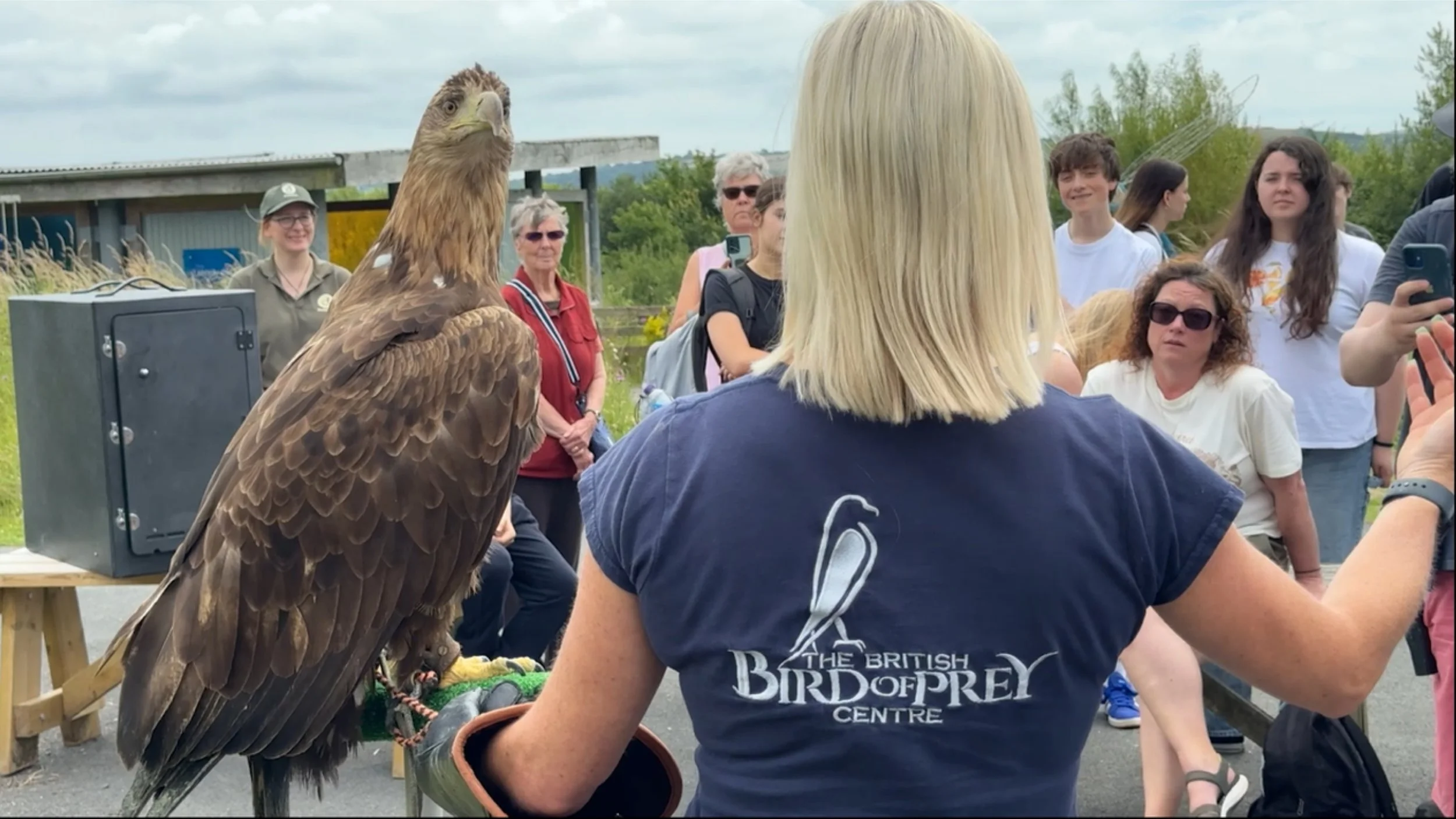 (COPY) ERW Thumbnail.jpeg