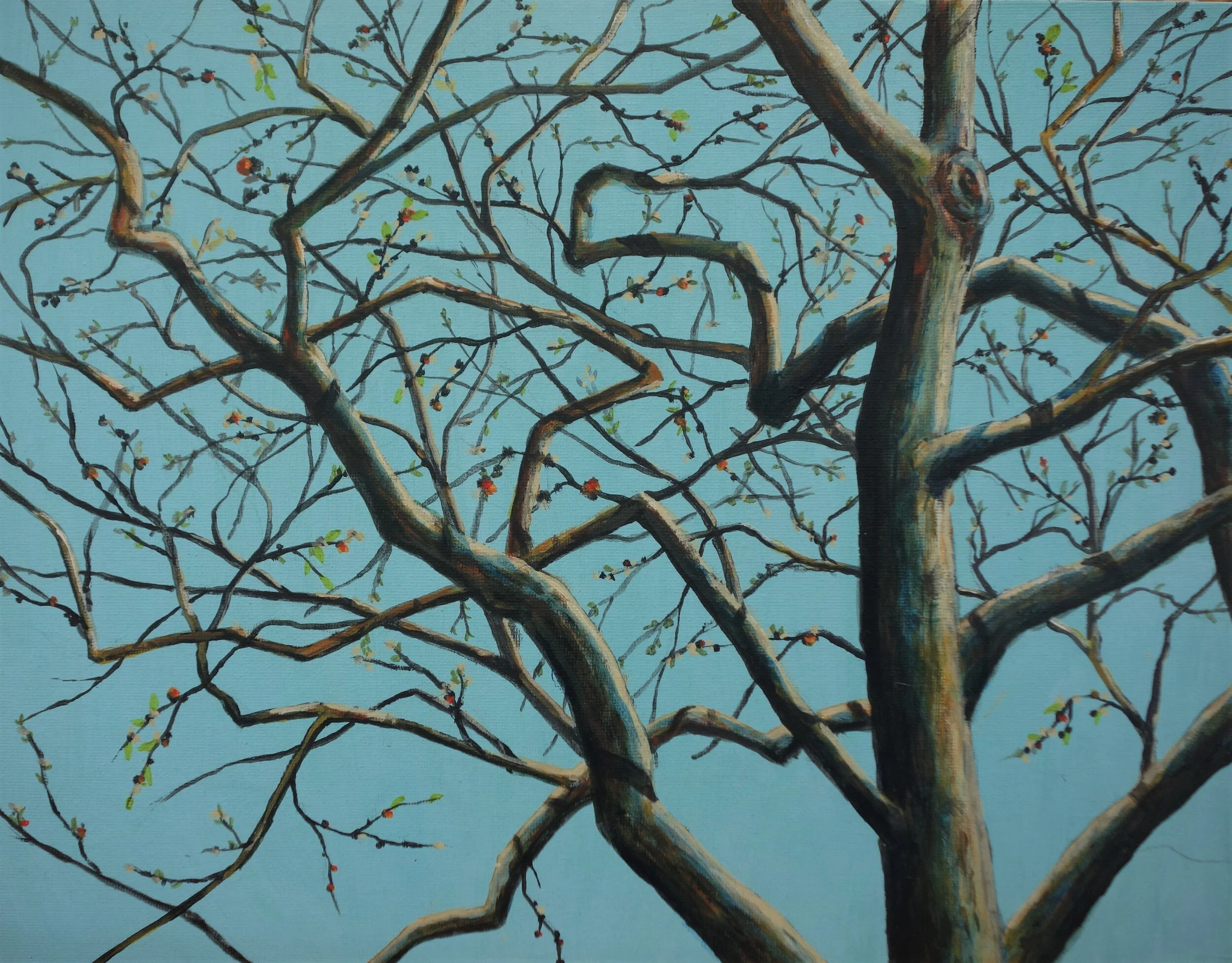 Torrance Tree 11x14 Acrylic on Canvas Board 2020