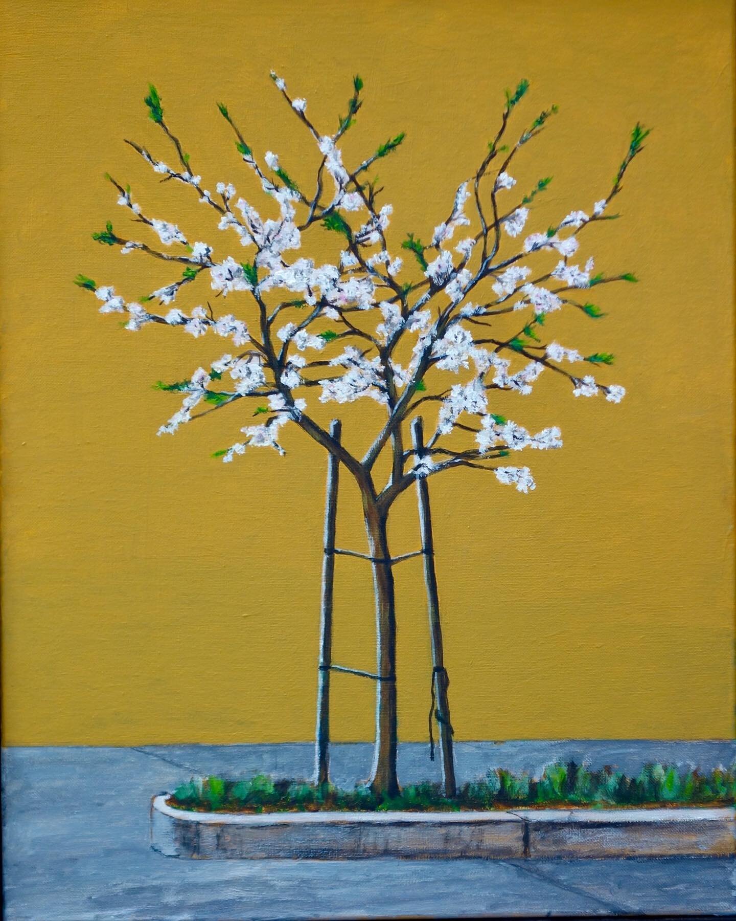 peach tree behind the mall

#originalart #acryliconcanvas