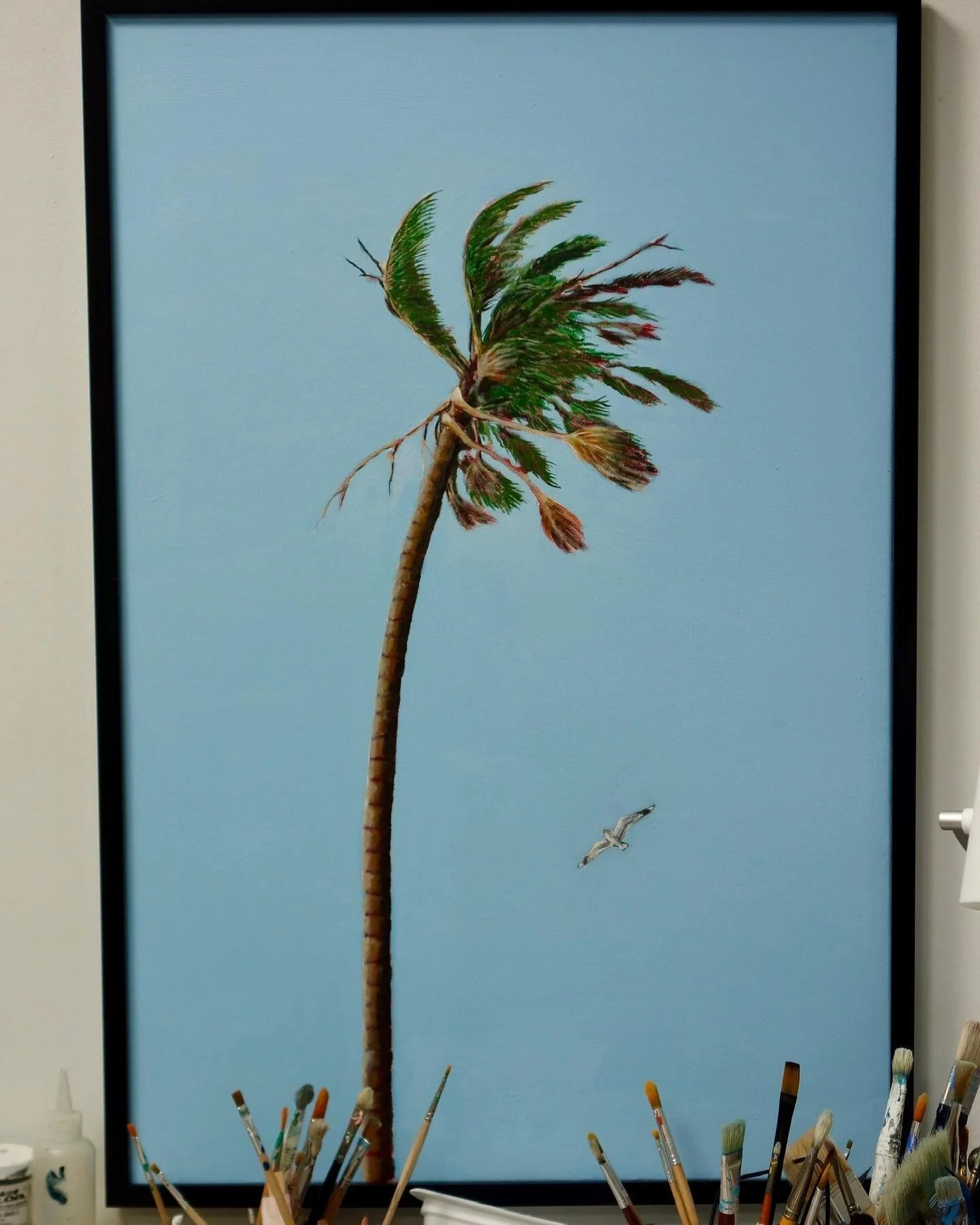 lone seagull and palm tree

#originalart #acryliconcanvas