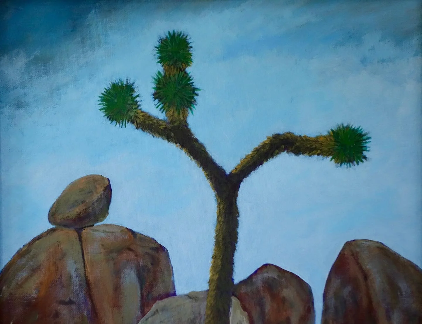 joshua tree

#originalart #acryliconcanvas