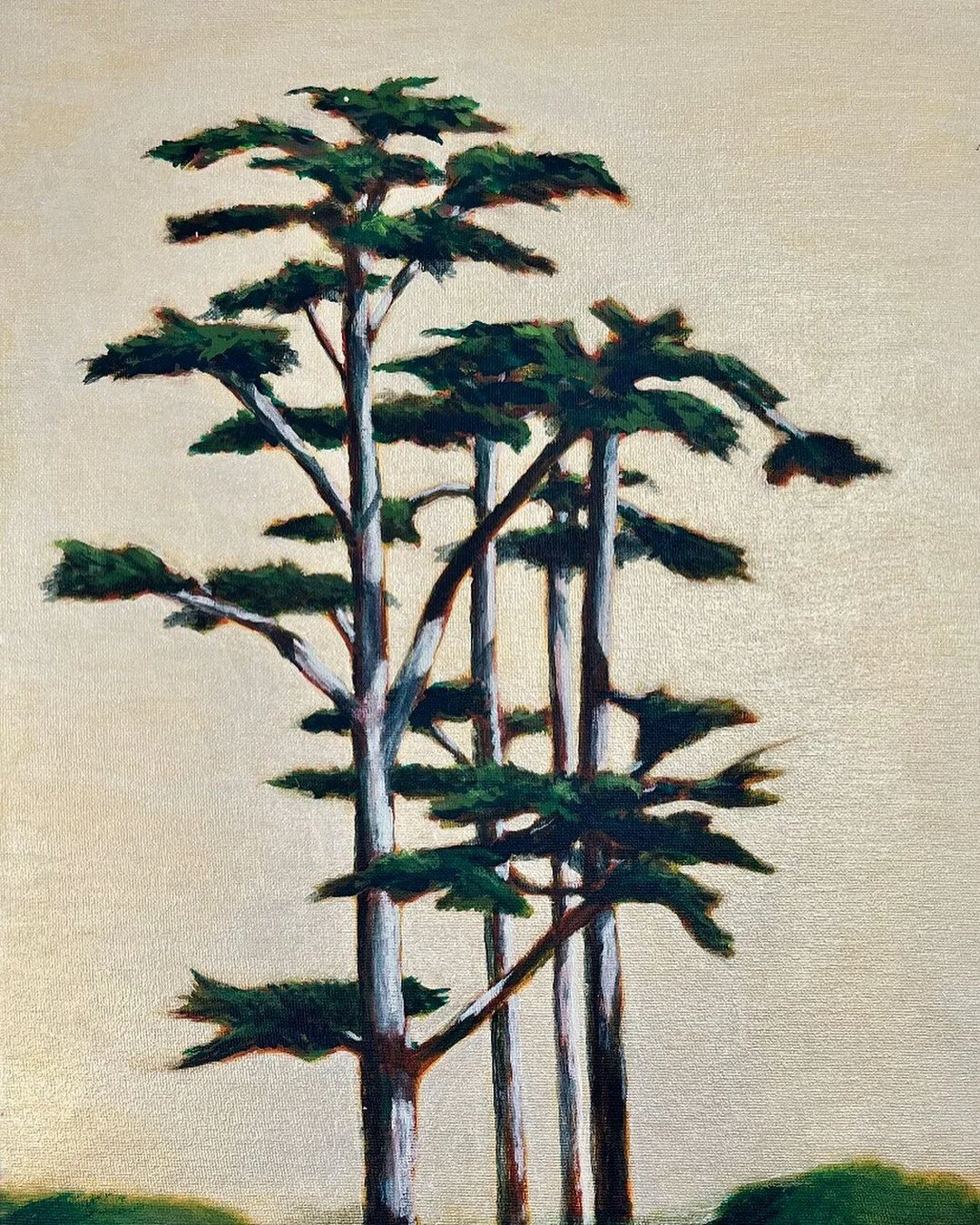 monterey cypress tree

#newwork #originalart #acryliconcanvas