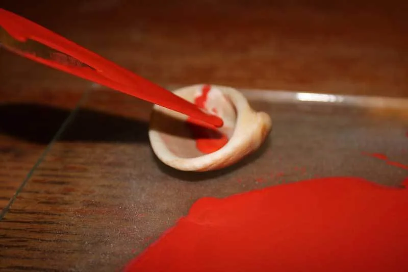 Transferring the paint to a shell for later use
