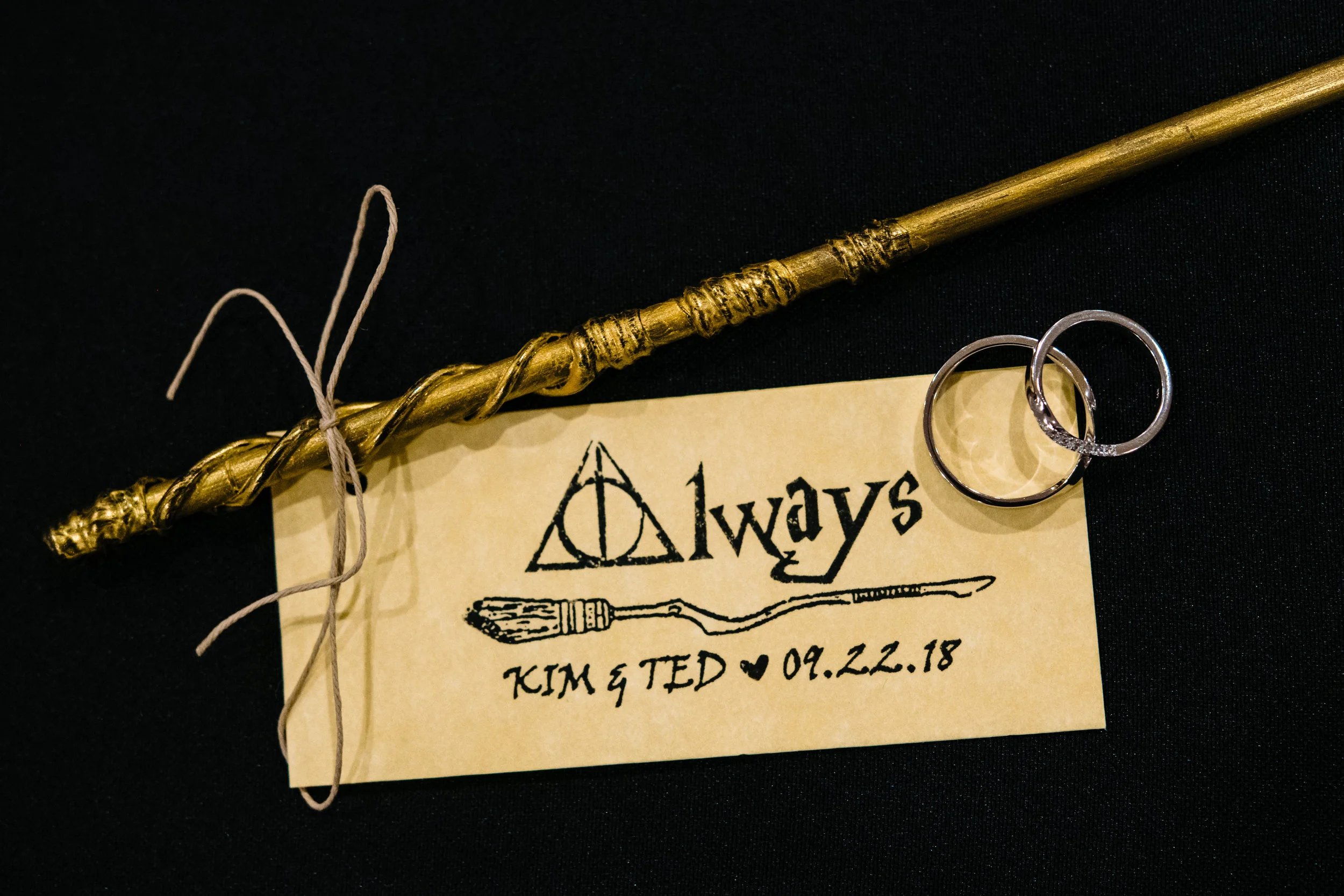 maryland-harry-potter-wedding.jpg