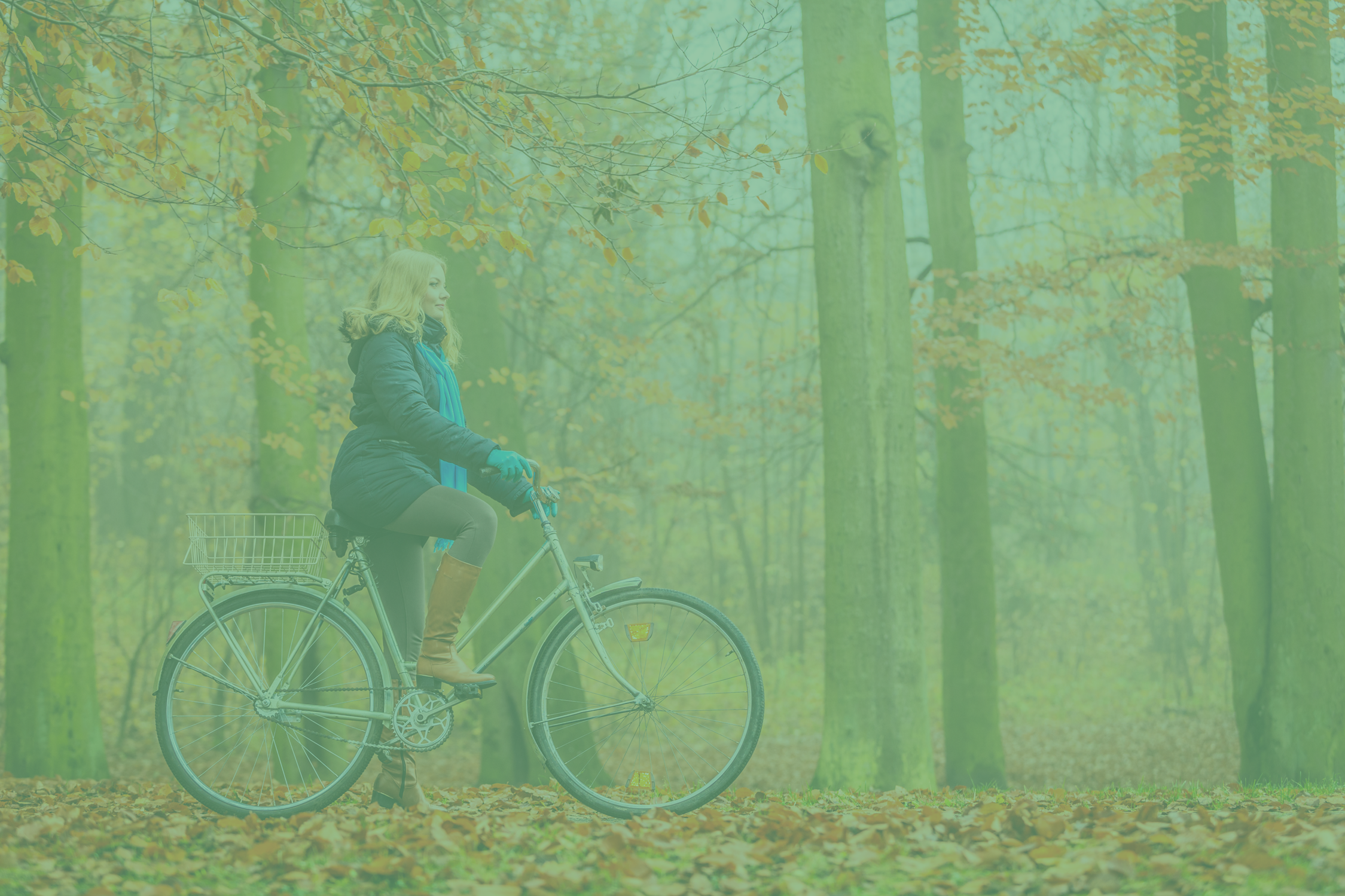 greenbike.png