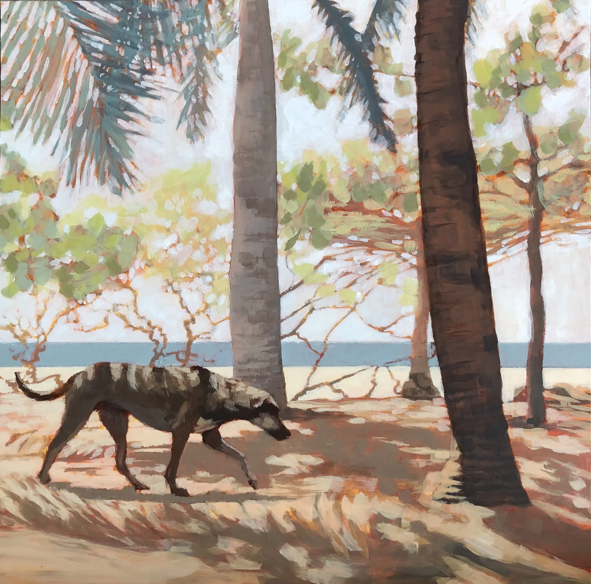 beach_dog.jpg