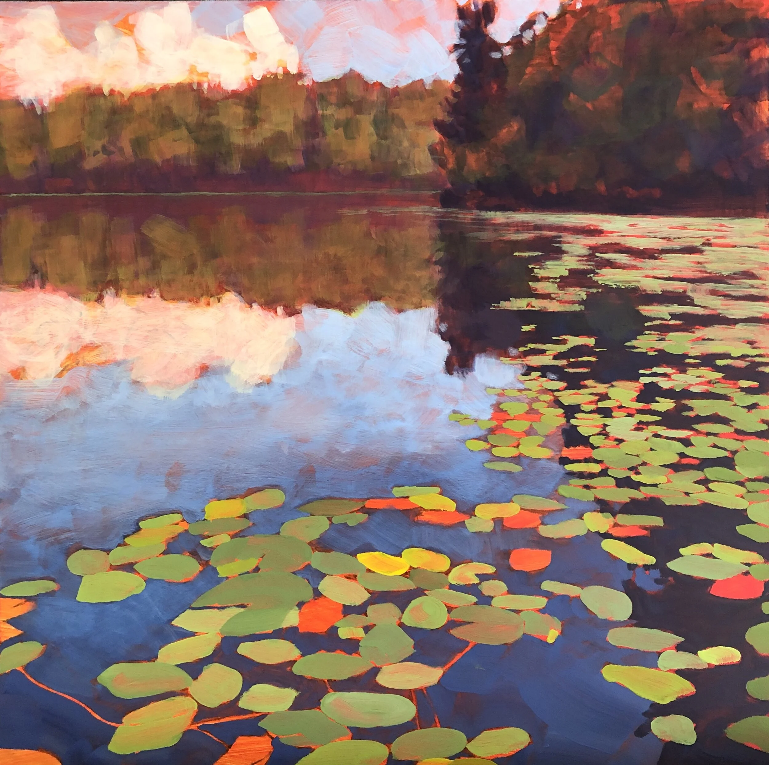 lily_pads.jpg