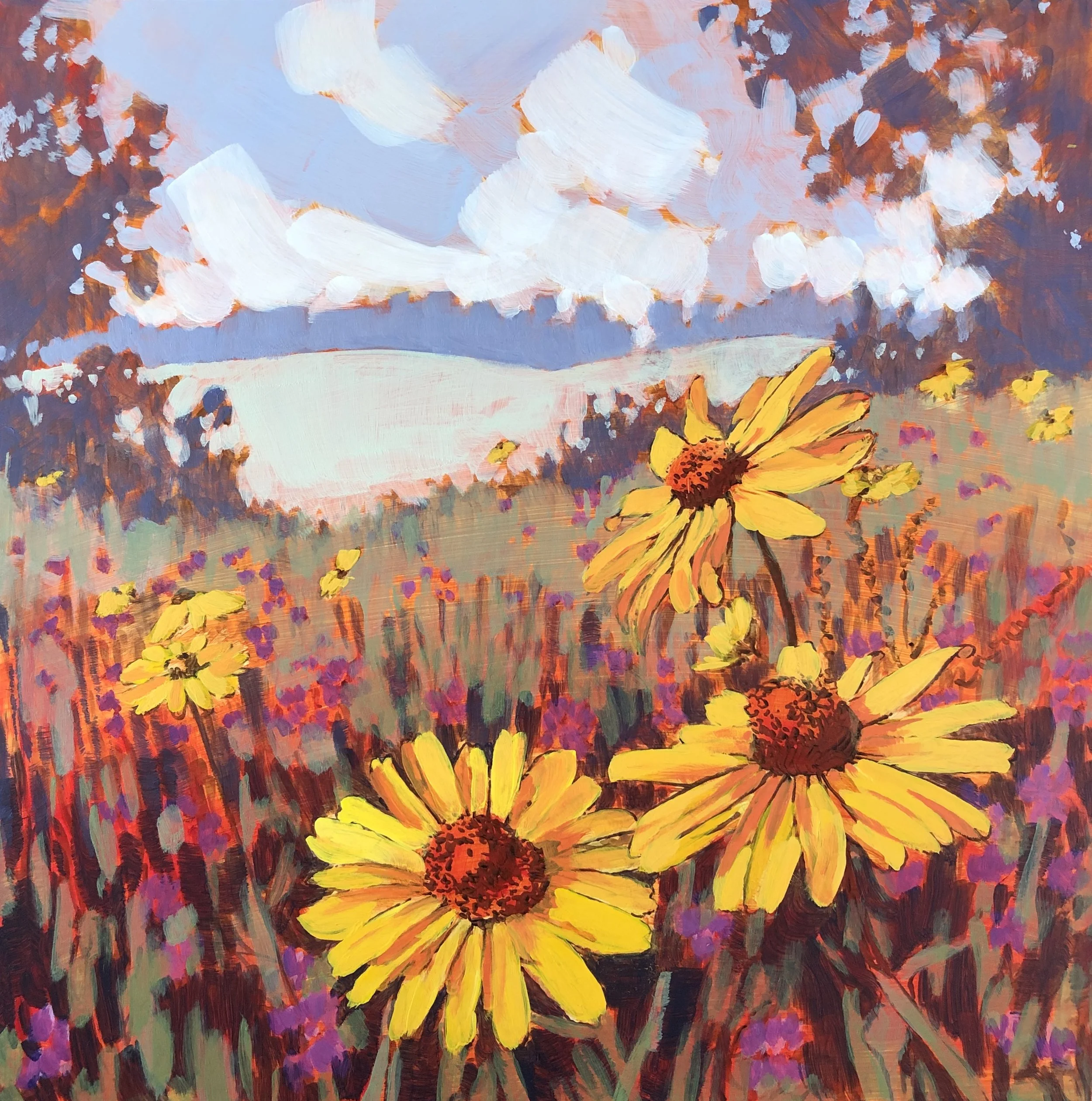 black_eyed_susans.jpg