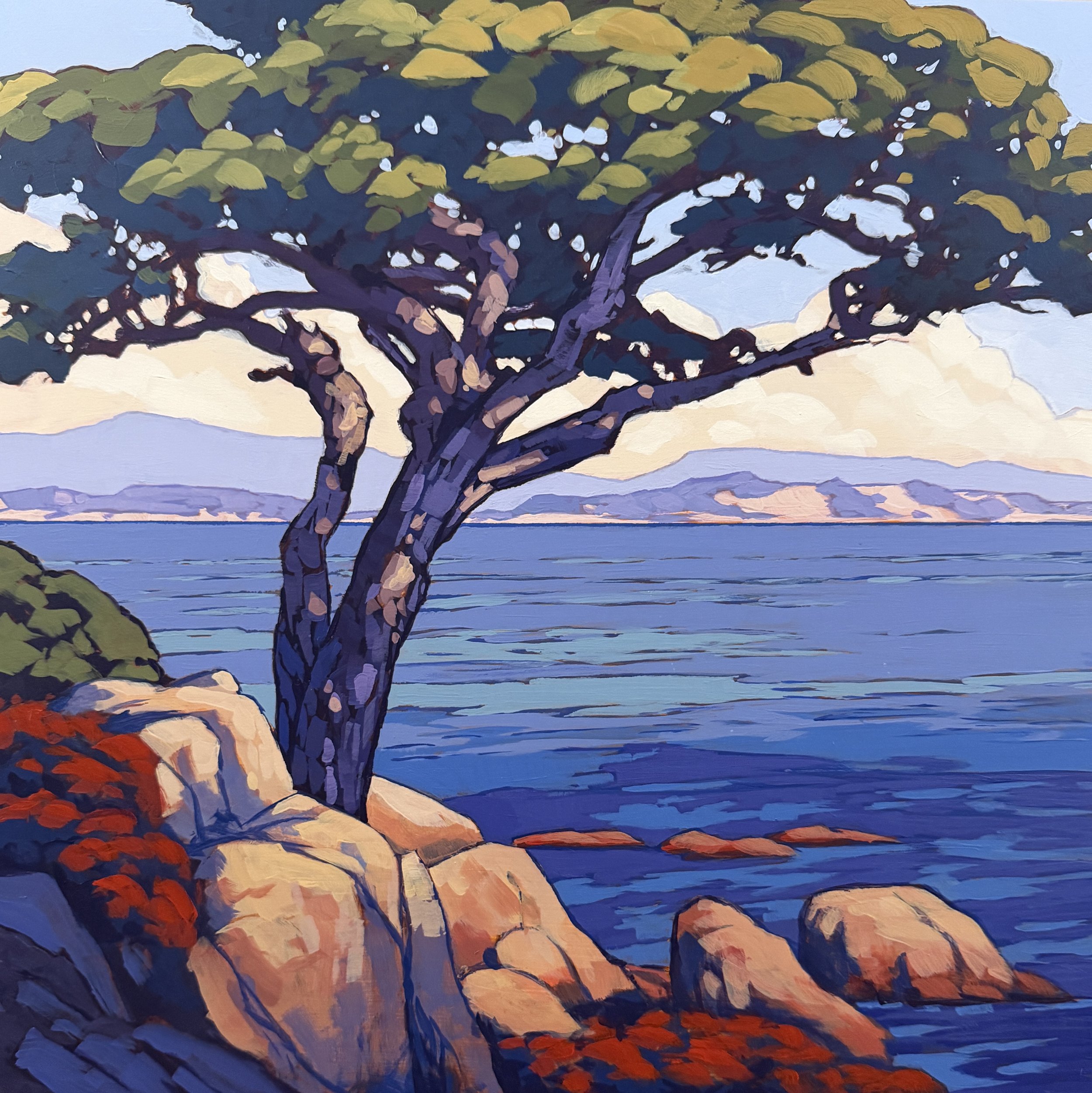 Monterey Tree
