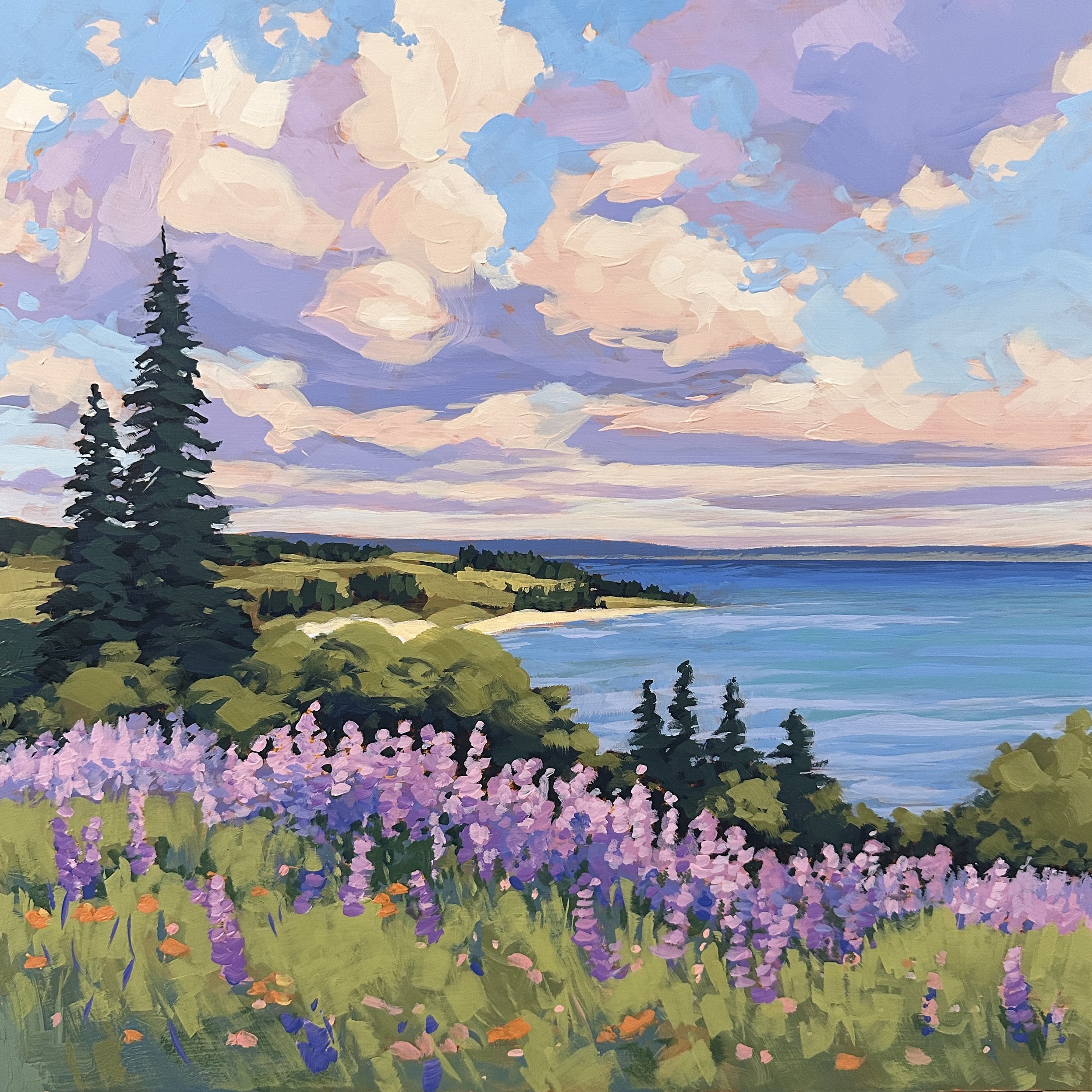 Lupines