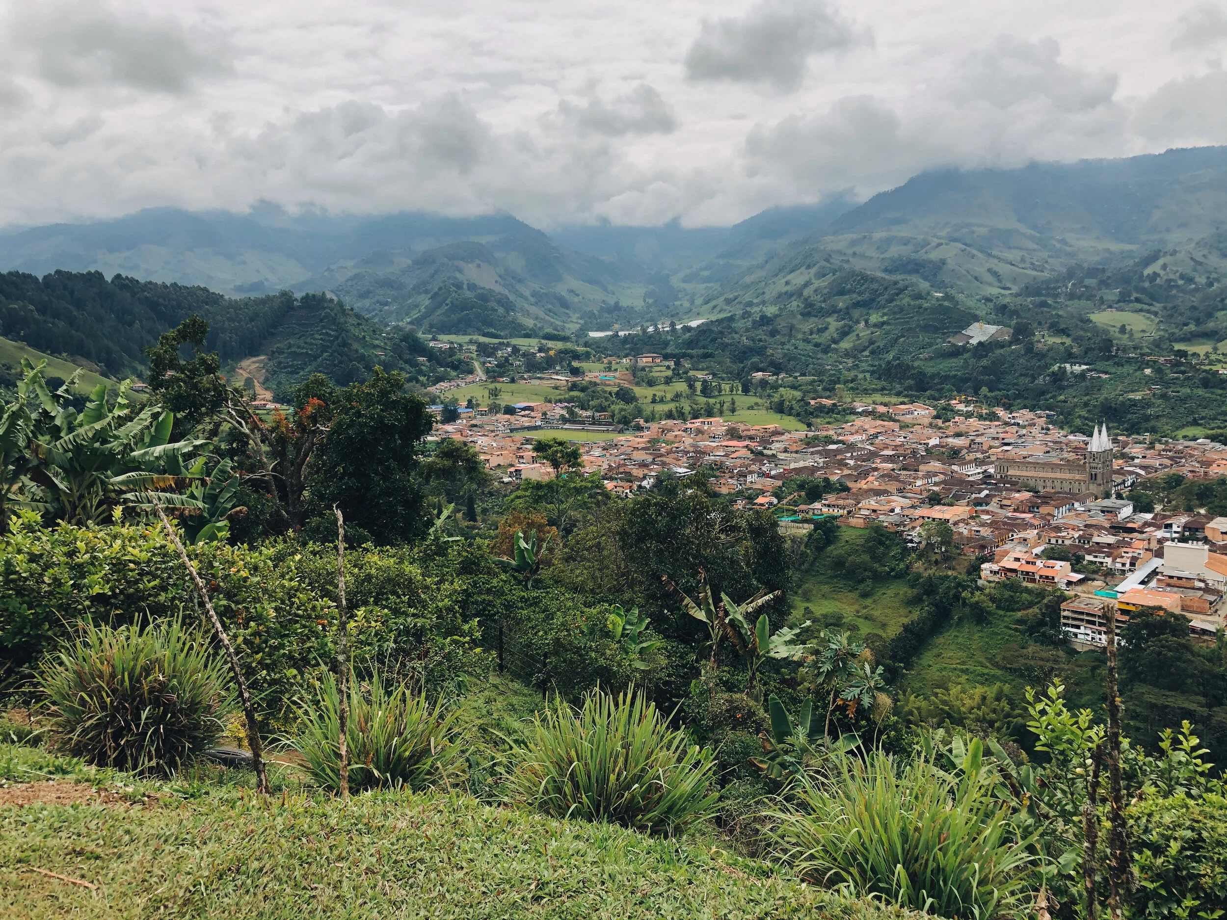 in which I wrap up January 