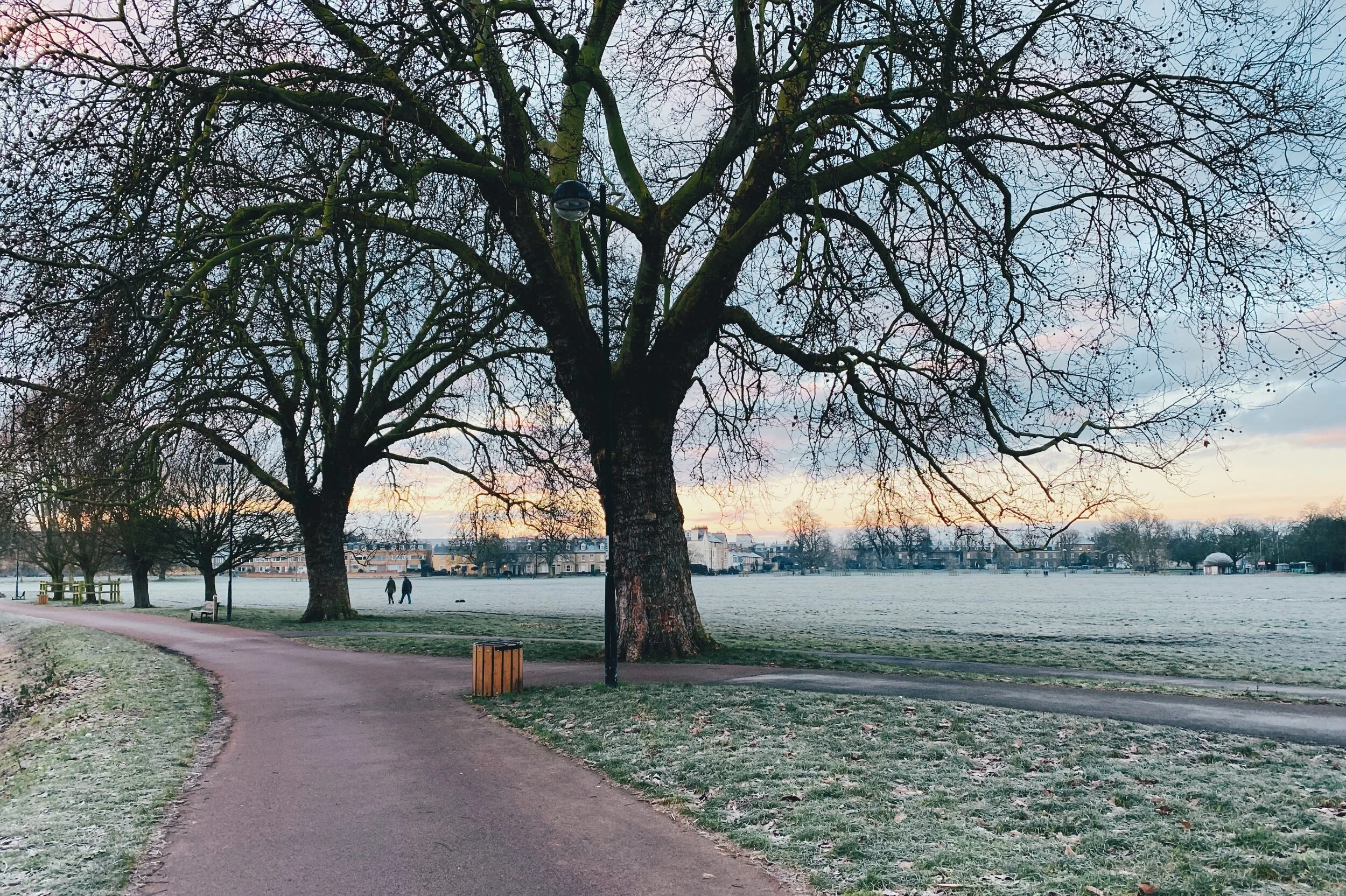 in which I wrap up January and February