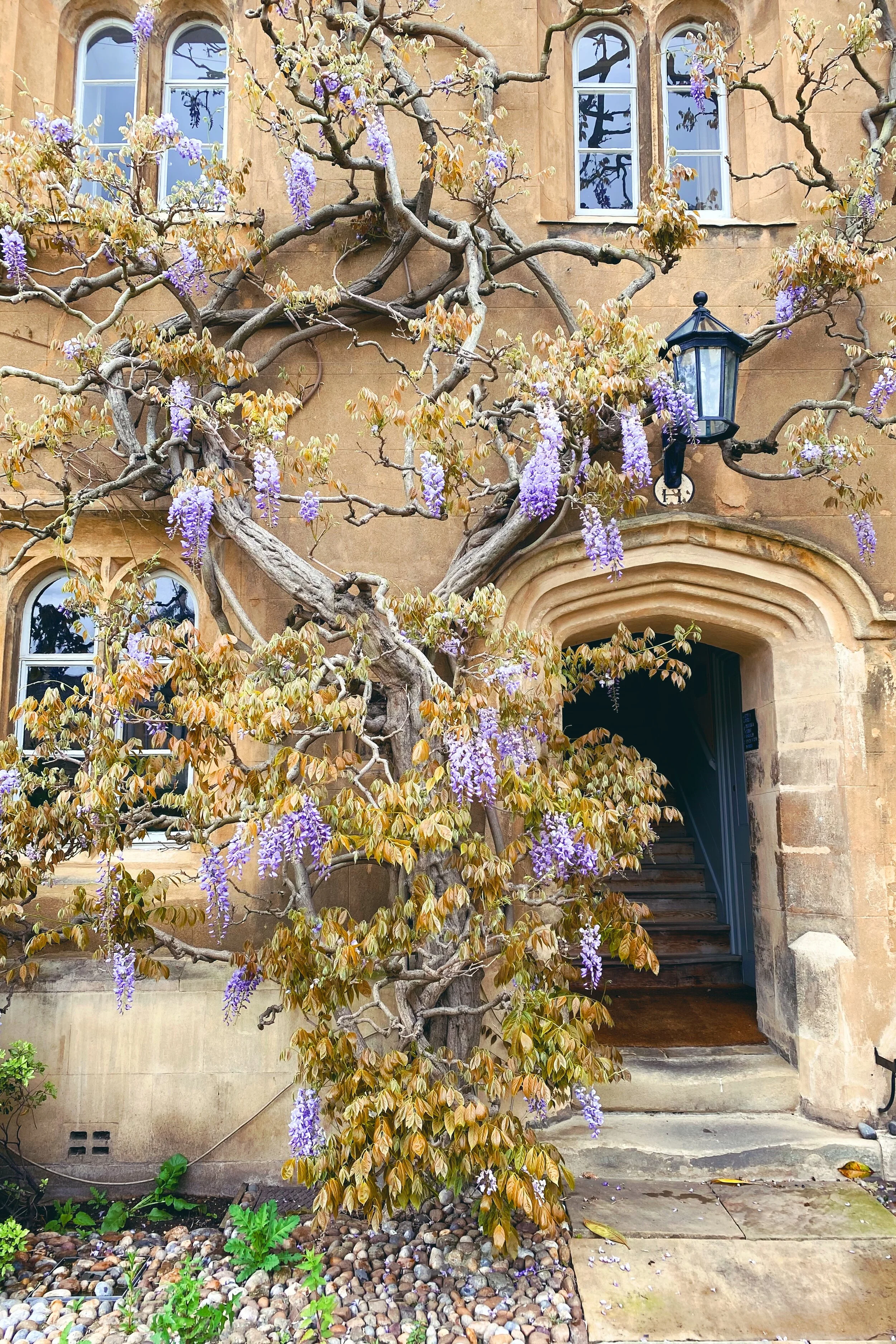 In which I wrap up May…