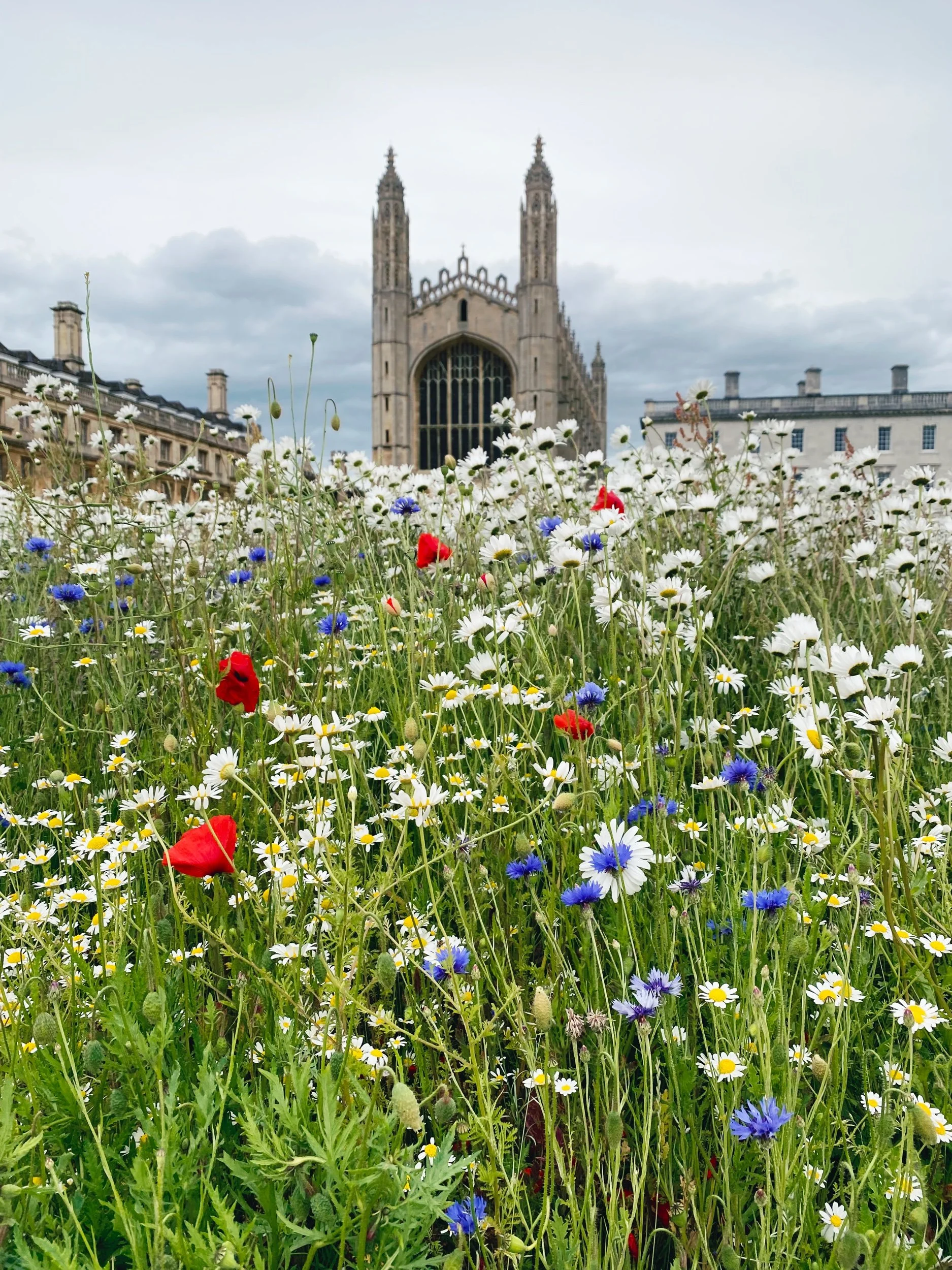In which I wrap up… the Easter Term